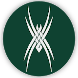 Spider Launcher icon