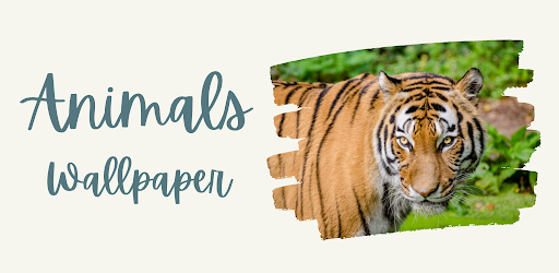 Animals Screen 2