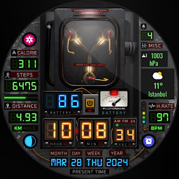 Icon image Back to the Future Watch Face