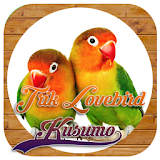 Trik Lovebird Kusumo icon