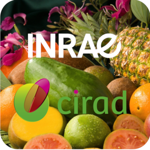 Tropifruits logo