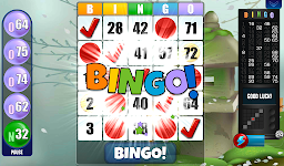 screenshot of Absolute Bingo