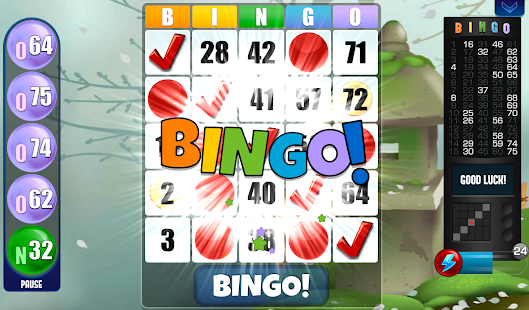 Bingo absolu Capture d'écran
