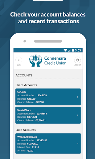 Connemara Credit Union Screen 2