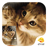 Colorful Honey Cat Keyboard icon