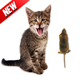 Kill Mouse Game for Cat icon