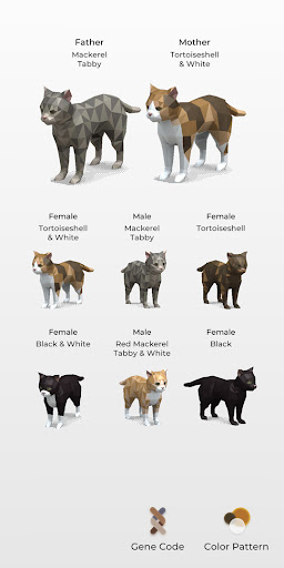 Android application Cat Color Patterns screenshort