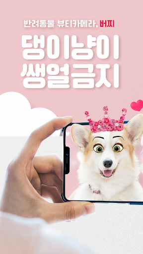 버찌 Budzzi - 반려동물 뷰티 카메라 Screen 3