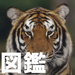 Cover Image of Download 動物図鑑 1.14 APK