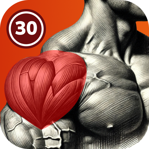 Shoulder Workout At Home Download on Windows