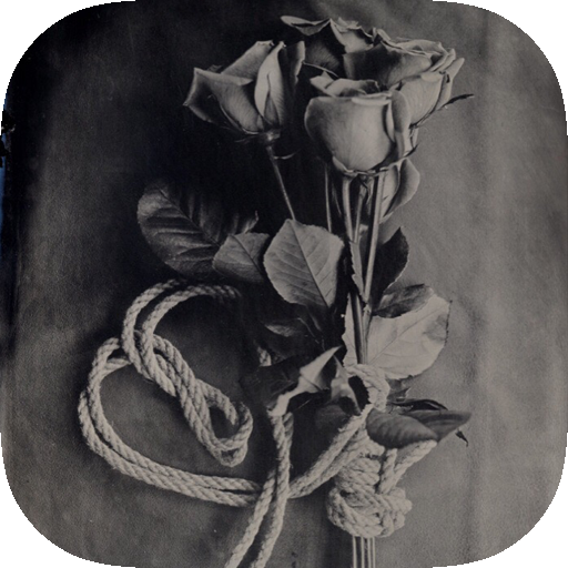 Чёрный понедельник