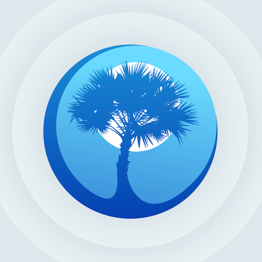 Palmetto Sports Download on Windows