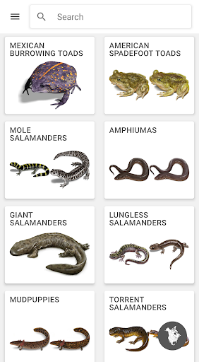 Android application Reptiles & Amphibians of NA screenshort