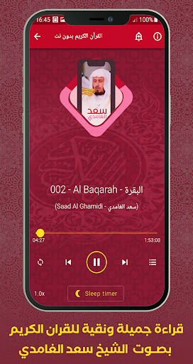 Quran Offline Saad Al Ghamidi Screen 3
