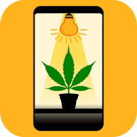 Cannabis Grow Box