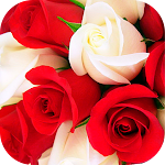 Cover Image of Download Roses Stickers for WhatsApp  APK