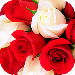 Icon image Roses Stickers for WhatsApp