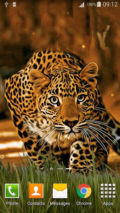 Leopard Live Wallpaper by Lux Live Wallpapers - (Android Apps) — AppAgg