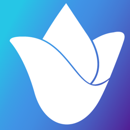 Bluespend - Gastos de Viaje logo
