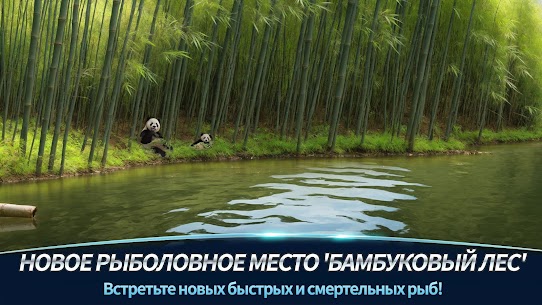 My Fishing Tour: Hook and Jerk 1