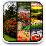 Garden Live Wallpapers icon