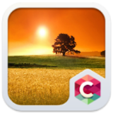 Sunny C Launcher Theme icon