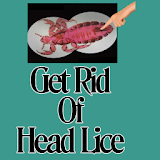Get Rid Of Head Lice icon