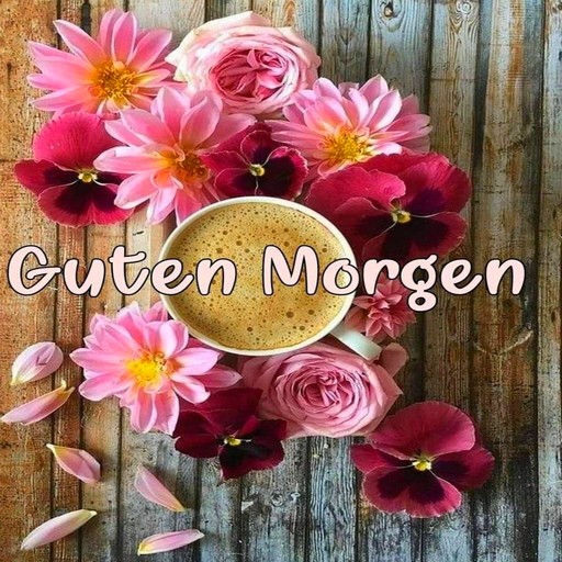 Guten Morgen Bilder Romantik Laai af op Windows