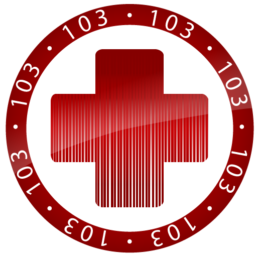 ERIM 103 logo