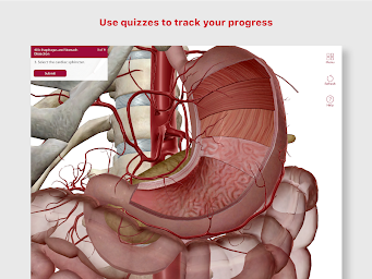 Anatomy & Physiology