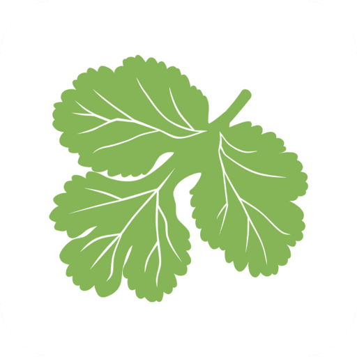 Kinza | Набережные челны for  Android – Latest Version & Features app icon