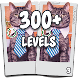 Find the difference 300 level Spot the differences icon