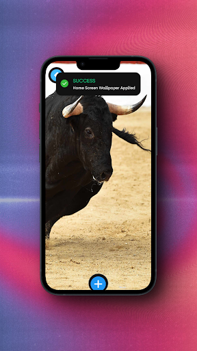 Bull Wallpaper Screenshot 3 - AppWisp.com