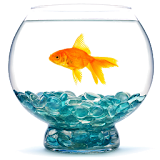 AquariumDiary icon