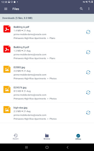 Screenshot of Oracle Primavera Cloud