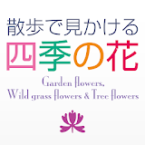 散歩で見かける四季の花 icon