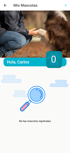 Vetlook Screen 3