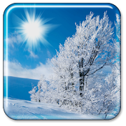 Winter Live Wallpaper  for PC Windows and Mac