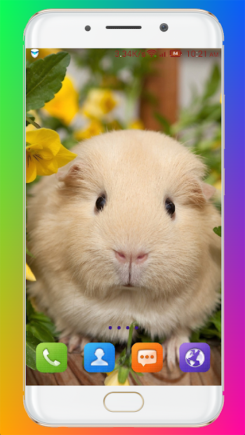 Imágen 10 Guinea Pig Wallpaper android