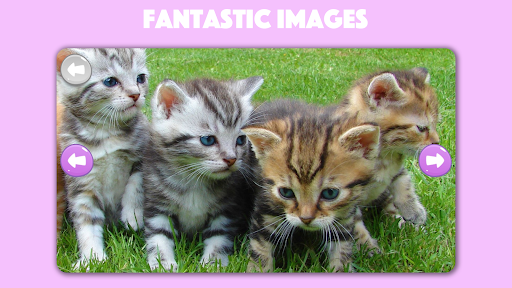 Android application Paws & Claws: Cute Pet Puzzles screenshort