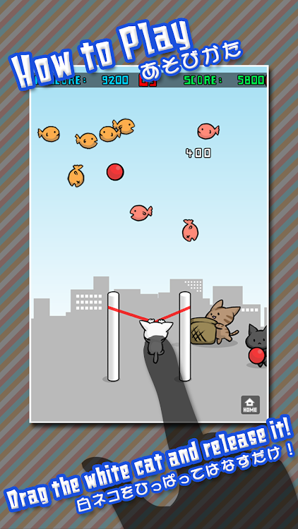 Cat Shot - 3.3.3 - (Android)