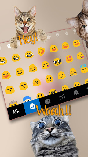 Cool Cat Keyboard Background Screen 3