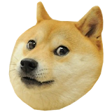 Doge Chase icon