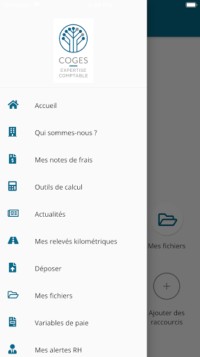 Coges Expertise Comptable Screen 2