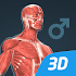 Human body (male) educational VR 3D1.26