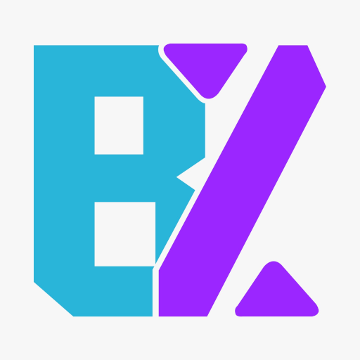 Berzus logo