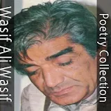 Wasif Ali Poetry Collection icon