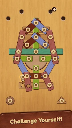 Game screenshot Головоломка Nuts & Bolts hack