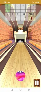 Pro Bowling 3D Game