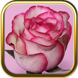 Even More Rose Garden Puzzles icon